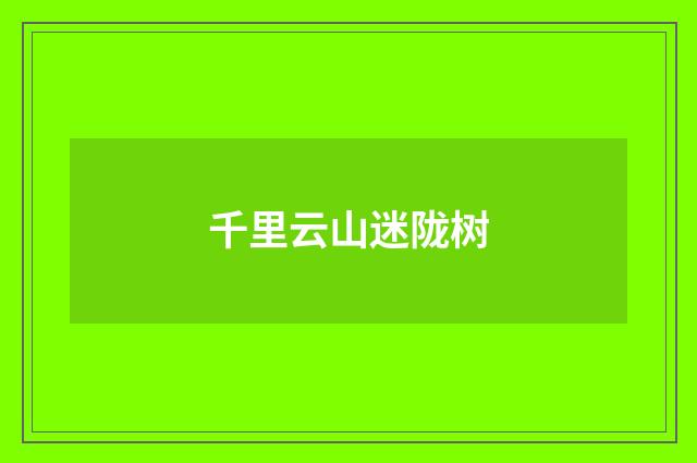 千里云山迷陇树