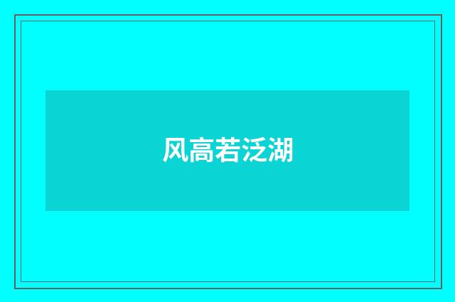 风高若泛湖