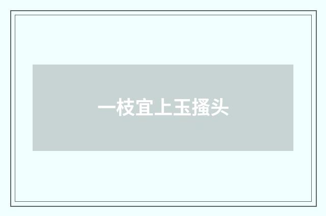 一枝宜上玉搔头