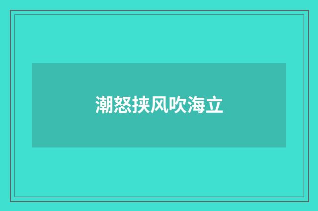 潮怒挟风吹海立