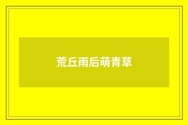 荒丘雨后萌青草