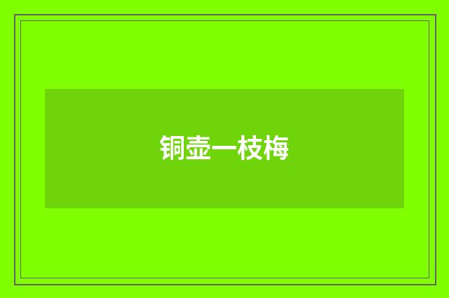 铜壶一枝梅