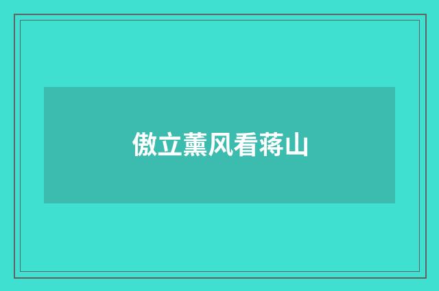 傲立薰风看蒋山
