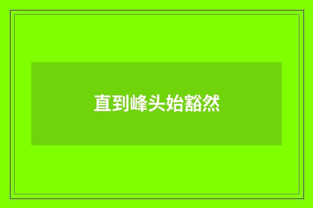 直到峰头始豁然