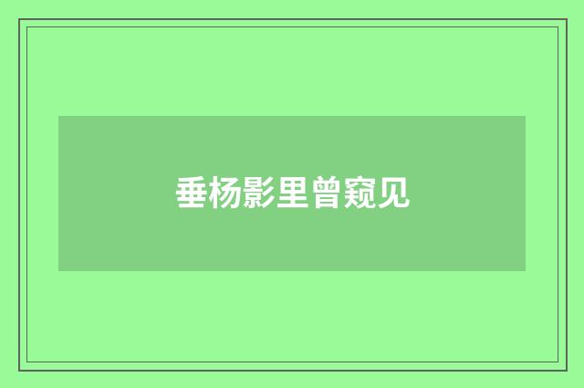 垂杨影里曾窥见