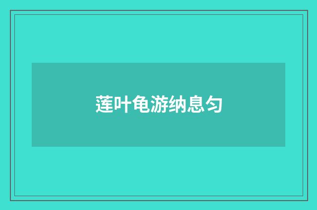 莲叶龟游纳息匀