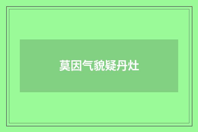 莫因气貌疑丹灶