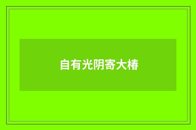 自有光阴寄大椿