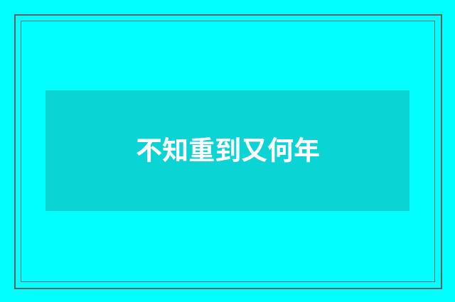 不知重到又何年