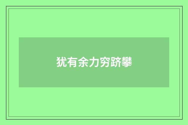 犹有余力穷跻攀