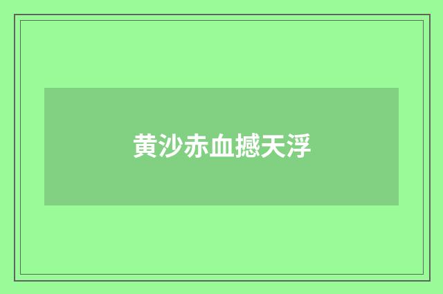 黄沙赤血撼天浮