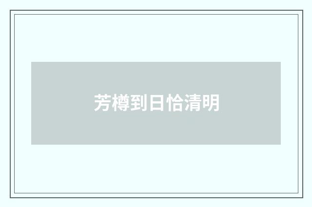 芳樽到日恰清明