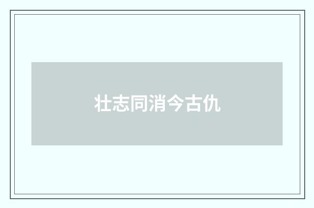 壮志同消今古仇