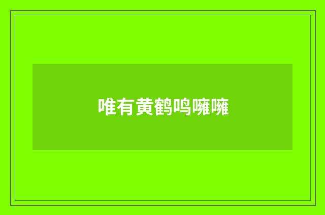 唯有黄鹤鸣噰噰