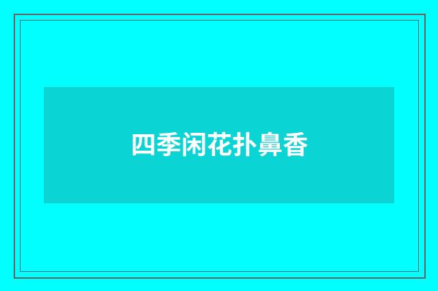 四季闲花扑鼻香