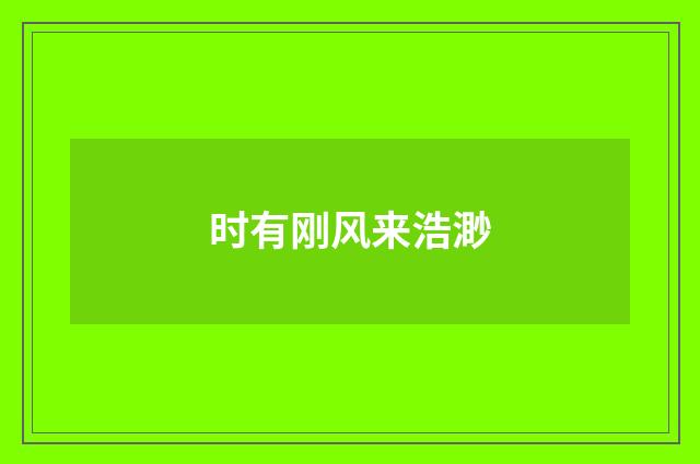 时有刚风来浩渺
