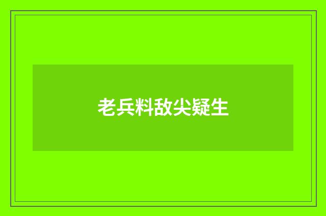 老兵料敌尖疑生