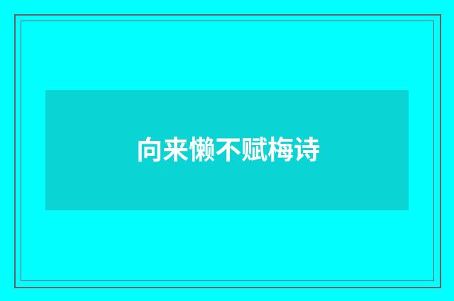 向来懒不赋梅诗
