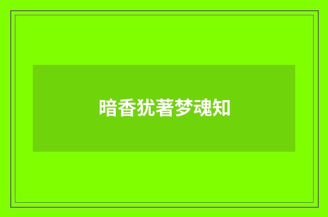 暗香犹著梦魂知