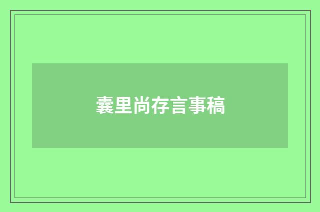 囊里尚存言事稿