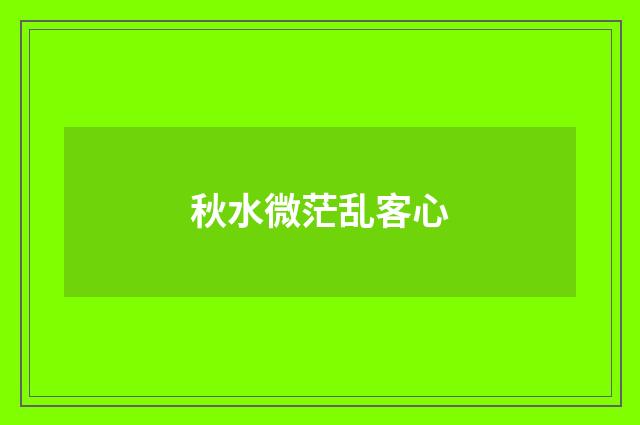 秋水微茫乱客心