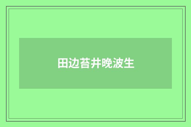 田边苔井晚波生