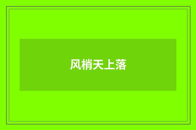 风梢天上落