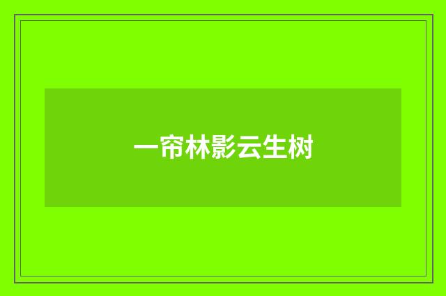 一帘林影云生树