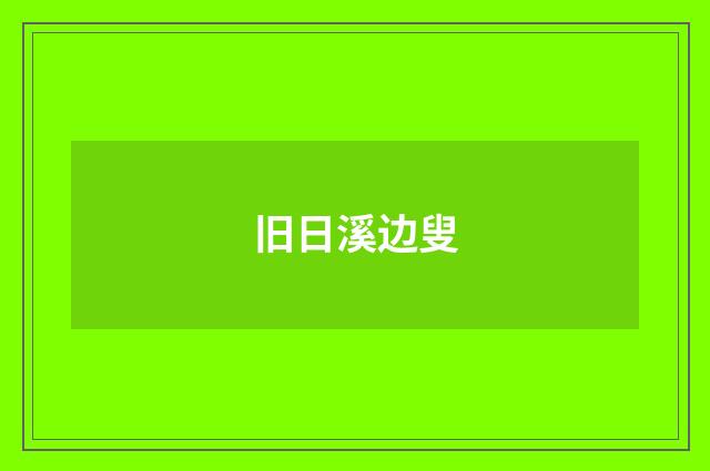 旧日溪边叟