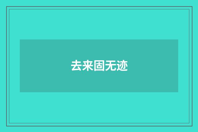 去来固无迹