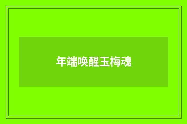 年端唤醒玉梅魂