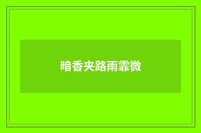 暗香夹路雨霏微