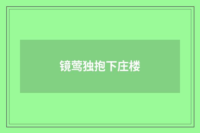 镜莺独抱下庄楼