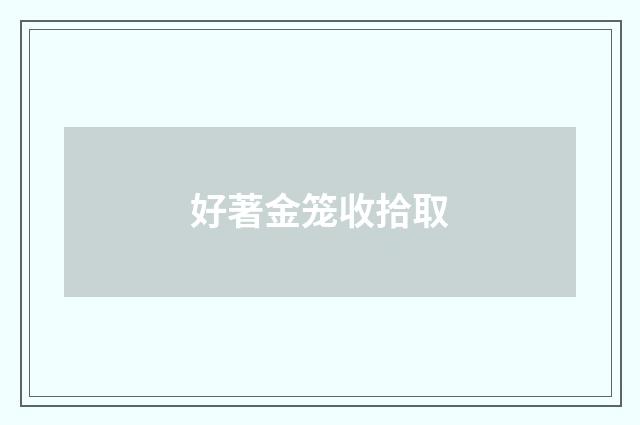好著金笼收拾取