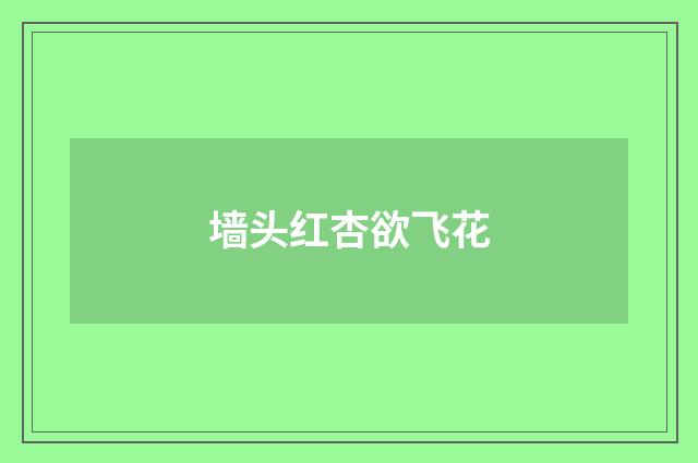 墙头红杏欲飞花