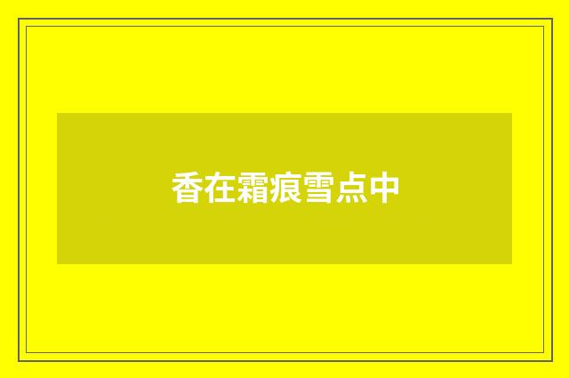 香在霜痕雪点中