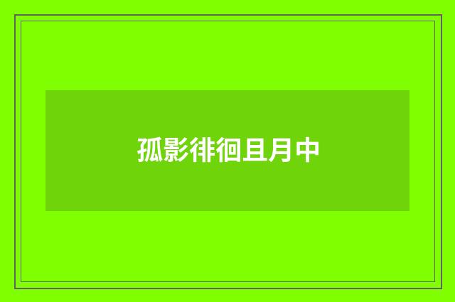 孤影徘徊且月中