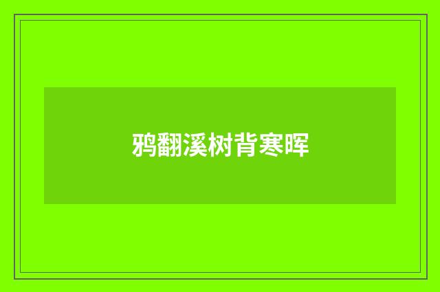 鸦翻溪树背寒晖