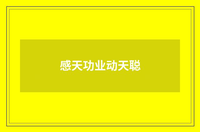 感天功业动天聪
