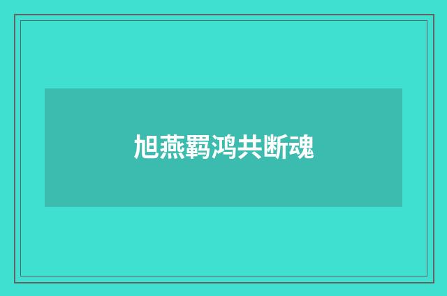 旭燕羁鸿共断魂
