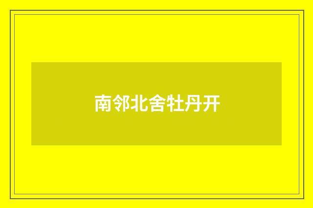 南邻北舍牡丹开