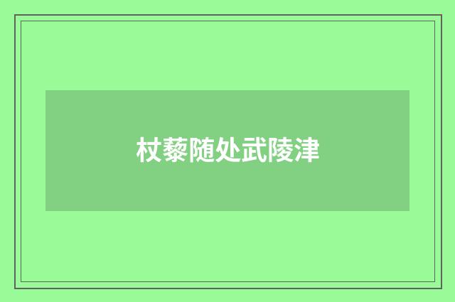 杖藜随处武陵津