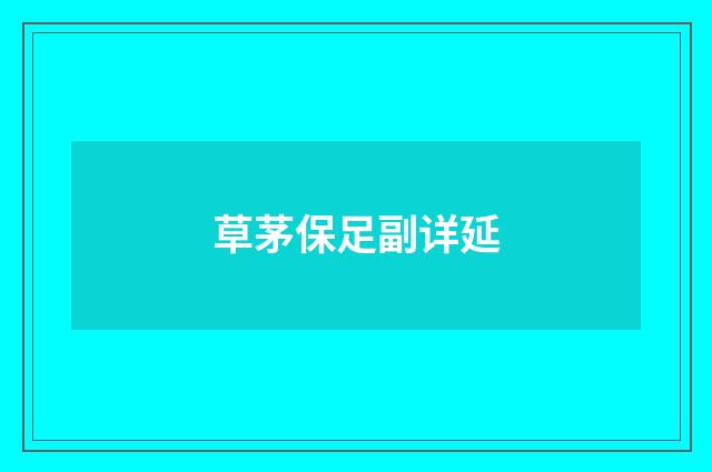 草茅保足副详延