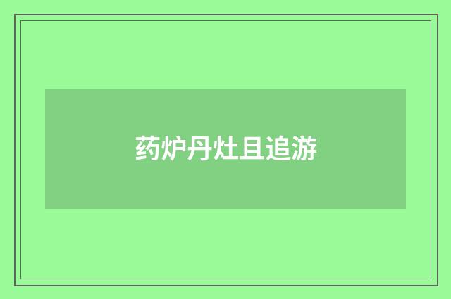 药炉丹灶且追游
