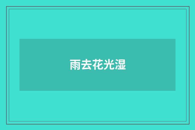 雨去花光湿