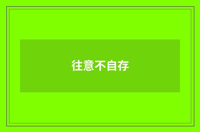 往意不自存