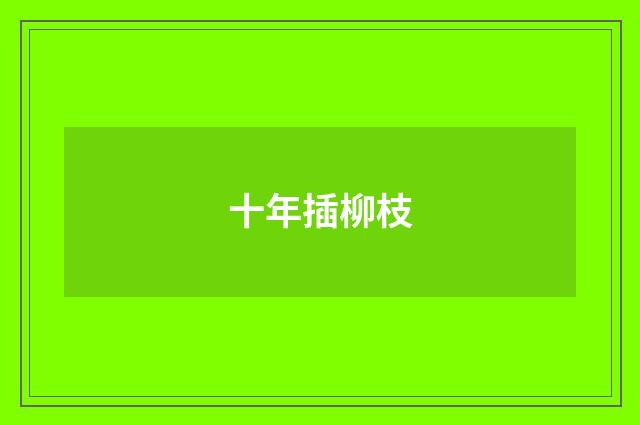 十年插柳枝
