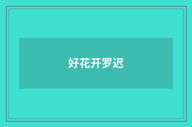 好花开罗迟