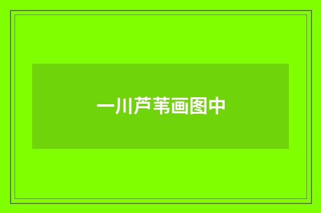 一川芦苇画图中
