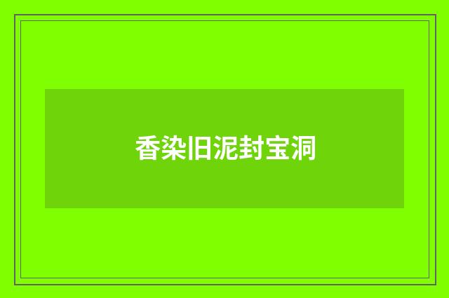 香染旧泥封宝洞